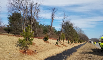 highways road landscaping