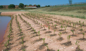 storm water management